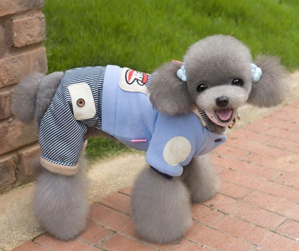 2016秋冬新款宠物服装 航海小奇兵四腿衣，厂家直供 dog clothes